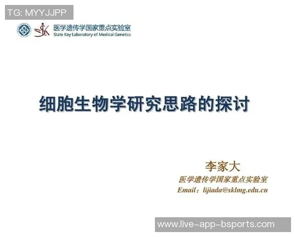 美国体育明星的辉煌成就与影响力探讨及其对社会文化的深远影响